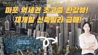 마포역세권 재개발 서울 마포 도화동 역세권 재개발 확정구역내 신축빌라 도화동 242