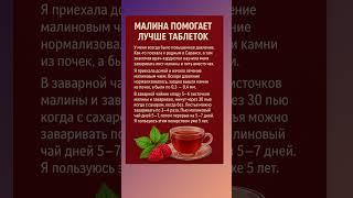Малина помогает лучше таблеток