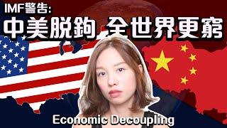 IMF: Economic Decoupling Is Making the World Poorer   Global Economic & Investment Impact