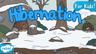 What is Hibernation? | Hibernation for Kids!