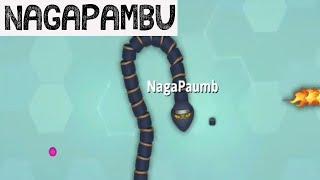 Nagapambu and its tricks to kill others | snake.o | 555 gamers