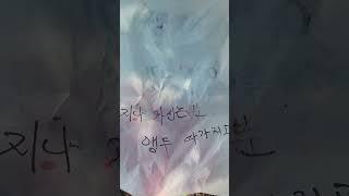 참좋은세상