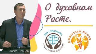 О духовном росте. Александр Шевцов.