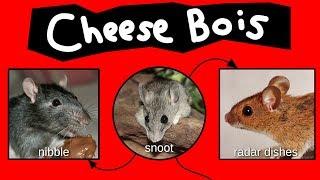 Cheese Bois