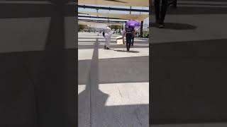 hajj 2025#great management #nice#mahshallah #viralvideo #ayan tayyabb