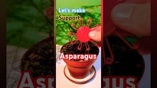 Asparagus Support #support #asparagus #flowers #flower #home #homedecor #diy #3d #cool #ai #fun