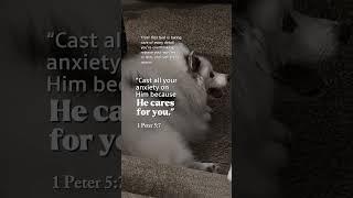 Bible verse with shylo  #dogsofyoutube #pets #bibileversetoday #verses