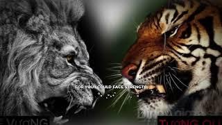 Lion vs Tiger, who is the real king?#animals #baihoccuocsong #dongvat #thinhhanh #shorts