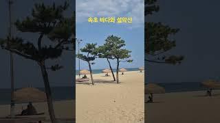 속초의 바다, 인구소멸 위기에서 희망을 찾다｜Sokcho Beach Vibes from Korea산과 바다가 함께 어우러진 강원도 속초!