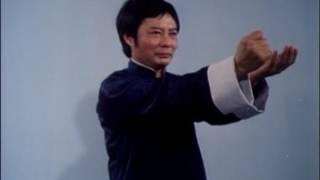 Wing Chun The science of Infighting