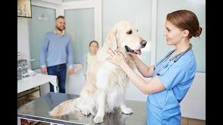 Need VETERINARY SCRUBS? Call (310) 208-7669 * Scrubs Unlimited