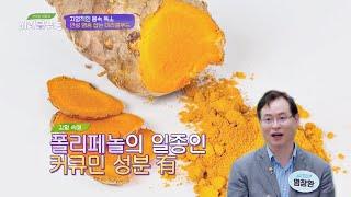 만성 염증 잡는 미라클푸드 3대 항산화 식품 강황 맛있는 이야기 미라클 푸드(Miracle Food) 65회