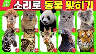 동물소리 퀴즈 게임 | 울음소리 듣고 동물 맞히기 | 스피드 퀴즈 | guess the animal sound