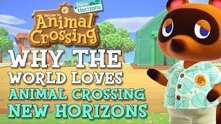  Why Animal Crossing New Horizons is AWESOME // Animal Crossing New Horizons Before You Buy!