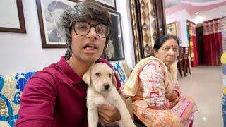 New Family Member  But Mummy Ne Mana Kar Diya