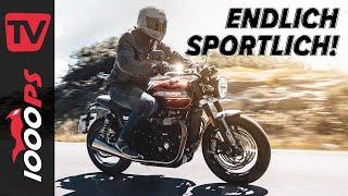 Weniger Retro, mehr Sport! - Triumph Speed Twin 2021 Test