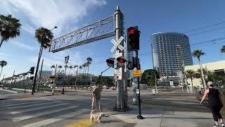 MTS Tram rolls through Front Street Railroad Crossing, San Diego CA 8-5-24