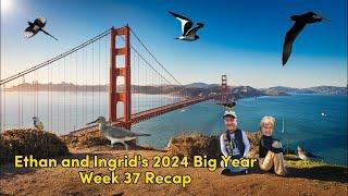 Ethan and Ingrid's 2024 Big Year (Week 37)