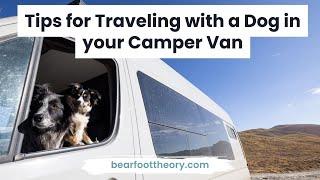 Van Life: Tips for Living in a Van with a Dog
