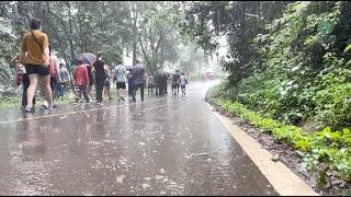 Elephant ‘Muay Lek’ Get Warmly Welcome After Walk Through The Rain To Sanctuary - ElephantNews