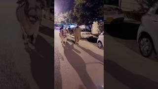 Bakra Eid Pe Qurbani Karni Hai By Hafiz Tahir Qadri