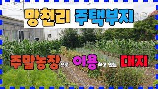 354. 망천리 주말농장매매 조용하고 깨끗한 흥해주택부지매매  주말농장으로 이용중인 포항주택부지매매 망천리 주태부지 매매 흥해주택부지매매 흥해부동산 포항부동산 지목부동산