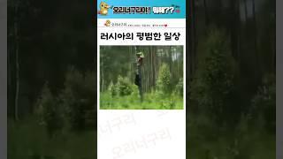 컴뮤니티 갤러리 레전드 짤 6탄 ㅣ시간순삭 꿀잼