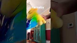 Yarnaby comerical- archived playtime Co. Commercial
