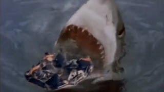 Shark Attack 3: Megalodon