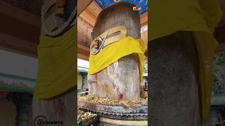 Different Views of Shiva lingam #trending #tallestshivalingam #shivetemple #vairalvideo