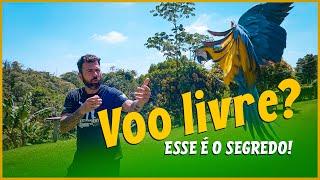 O Voo Livre Eleva a Qualidade de Vida das Aves de Estimação.