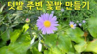 텃밭 주변 꽃밭 만들기. Creating a flower garden around the vegetable garden.