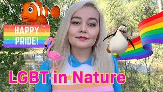 Gay Animals & Transgender in Nature