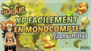 DOFUS - XP RAPIDEMENT/FACILEMENT EN MONOCOMPTE ? PERSO DISTANCE - ELIOTROPE ! (JAHASH/ILY)