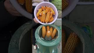 Benefits of Inclined Rollers in Feed Pellet Machine