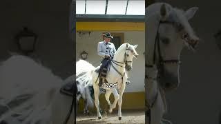 My dad 1985, horse edit! #edit #horse #equestrian #shorts #andalusian #1985 #horseedit #capcut