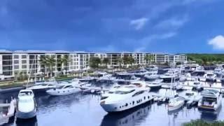 Azure Palm Beaches. Waterfront Living Perfected.