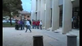 Non classi separate ma integrazione: il metodo "antigelmini" di Arzignano (Vicenza)