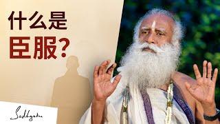 什么是臣服？| Sadhguru 萨古鲁