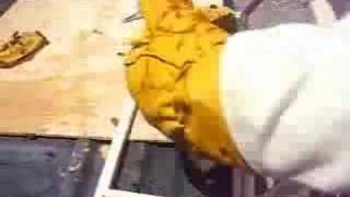 Cut-Out Frames: Removing Bee's brood from a wall