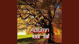 Autumn leaf fall