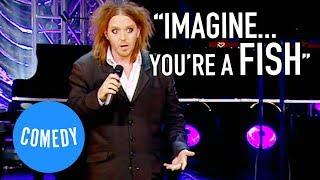 Tim Minchin | If You Open Your Mind Too Much Your Brain Will Fall Out (Take My Wife)