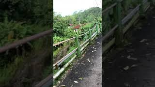 Jembatan Lolong