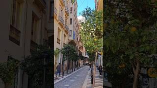 Beautiful streets of Spain, before Christmas 