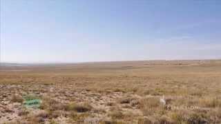 The Big Hollow and the Power of Wind Erosion