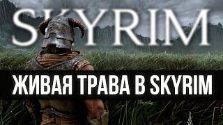 Живая трава в Skyrim ENB Grass Collisions и Complex Grass Установка и настройка гайд  Скайрим моды