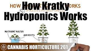 How A Kratky Passive Hydroponic System Works