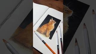 Tanto per cambiare disegno un gatto