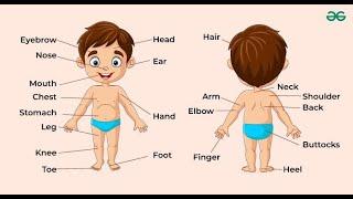 Learn Names of parts of body in a super simplified manner #english #spokenenglish