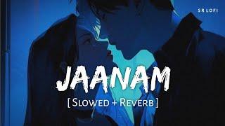 Jaanam (Slowed + Reverb) | Vishal Mishra | Bad Newz | Vicky Kaushal, Triptii Dimri | SR Lofi